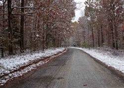 Tennessee, Decatur County, 5 Acre Sweet Water Ranch, Lot 3, Electricity. TERMS $450/Month