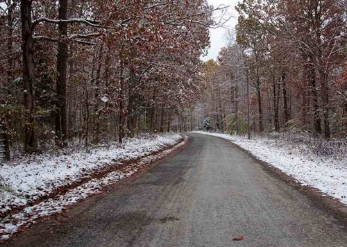 Tennessee, Decatur County, 7.60 Acre Sweet Water Ranch, Lot 15. TERMS $175/Month