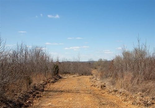 Tennessee, Perry County, 9.79 Acre Southwind Ranch, Lot 23, stream. TERMS $664/Month