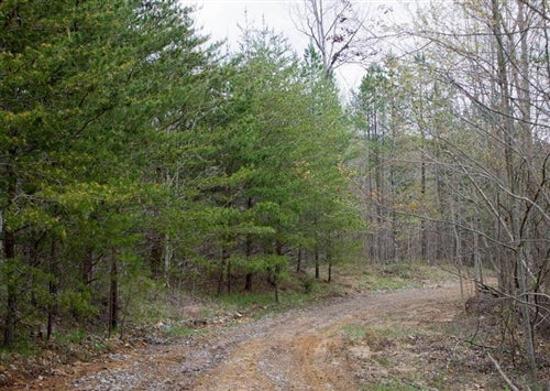 Tennessee, Sequatchie County, 5.43 Acre Hidden Hills, Lot 2 Stream. TERMS $255/Month