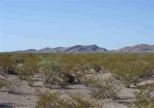 Texas, Hudspeth County, 84.30 Acres El Paso, Lot 4. TERMS $453/Month