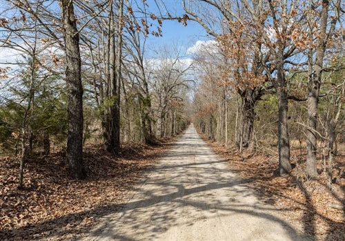 Texas, Red River County, 6.82 Acre Wishing Star Ranch, Lot 43 Pond, Stream. TERMS $916/Month