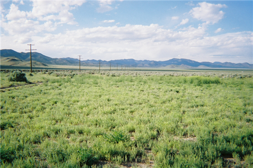 Utah, Iron County, 1.10 Acres Garden Valley Ranchos. TERMS 50% Off (now) $24/Month