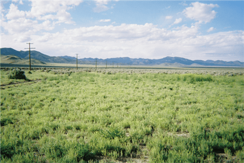 Iron County Utah Garden Valley Ranchos Lot 3930, 1.53-acre land parcel with open field view, suitable for building or recreation.