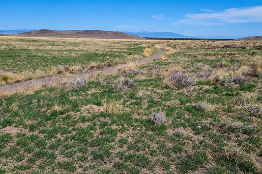 Colorado, Conejos County, 30 acres East of Manassa. TERMS $449/Month