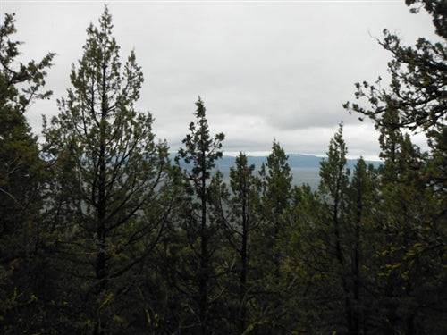 California, Lassen County,  21 Acres Moon Valley Ranch. TERMS $195/Month