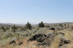 California, Lassen County,  40 Acres Ravendale Ranch. TERMS $283/Month
