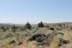 California, Lassen County,  40 Acres Ravendale Ranch. TERMS $283/Month