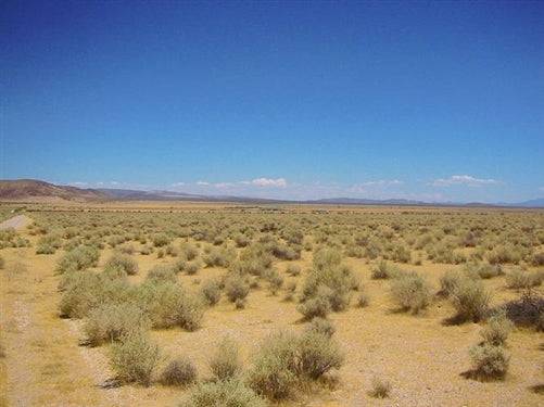 California, San Bernardino County, 5 Acres. $3,500 CASH