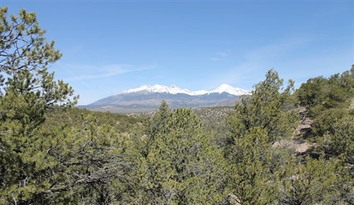 Colorado, Costilla County, 5.29 Acres Sangre De Cristo Ranches. TERMS $219/Month