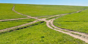 Best-in-Industry Guarantee