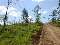 Missouri, Shannon County, 26.13 Acres Antler Ridge, Creek. TERMS $424/Month