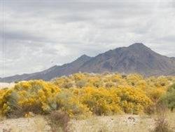 Nevada, Humboldt County, 40 Acres Near Winnemucca.
