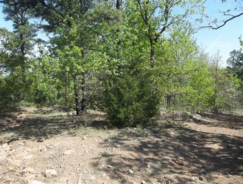 Oklahoma, Latimer  County, 6.65 Acre Pine Mountain Ranch. TERMS $204/Month