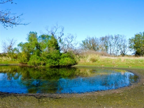 Oklahoma, Okfuskee County, 5 Acre Saddlebrook Ranch, Pond. TERMS $260/Month