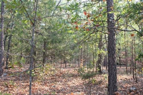Oklahoma, Pushmataha County, 12.31 Acre Lake View Ranch. TERMS $240/Month