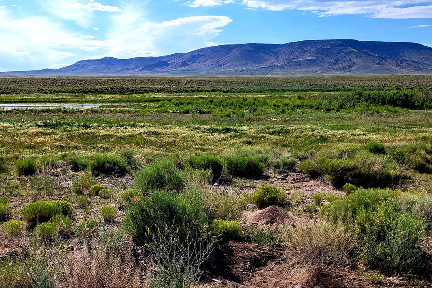 Bid4Assets Auction 1294975 - CO, Costilla, 0.25 Acres Rio Grande River Lot 951 Unit 1