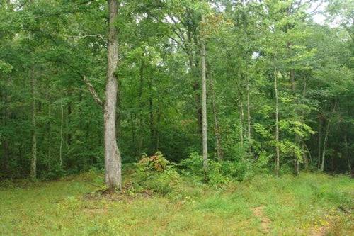 Tennessee, Wayne County, 7.94  Acre Sugartree Falls. TERMS $460/Month