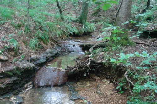 Tennessee, Wayne County, 5.25 Acre Sugartree Falls. TERMS $340/Month