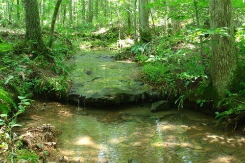 Tennessee, Wayne County, 11.36  Acre Sugartree Falls. TERMS $370/Month