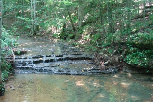 Tennessee, Wayne County, 15.47  Acre Sugartree Falls, Creek, Waterfall. CASH BUYOUT