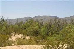 Texas, Hudspeth County, 20 Acre Sunset Ranches, Lot 18 Unit 557. TERMS $459/Month