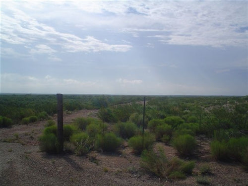 Texas, Reeves County, 56 Acres. TERMS $480/Month