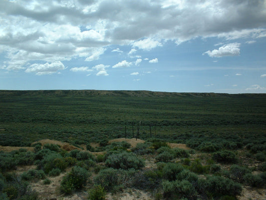 Bid4Assets Auction 1296032 - WY, Sweetwater, 40 Acres Ranch