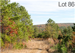 Oklahoma, Latimer  County, 10.59 Acre Stone Creek Ranch, Lot 86. TERMS $215/Month